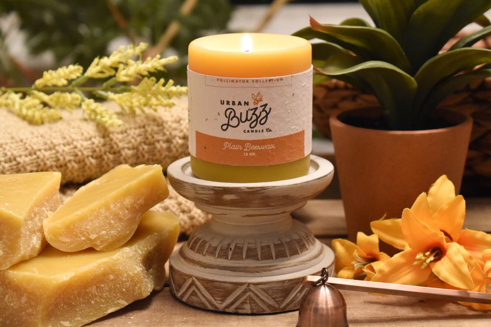 Pollinator Collection - Urban Buzz